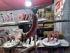 ほしのしほ「😟なんかおかしい」