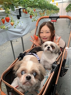 ほしのしほ「😍わんわんとお出かけ」