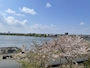 七瀬 桃