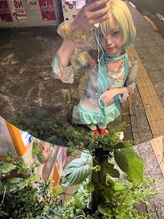 ツムギ「🍀🍀🍀」