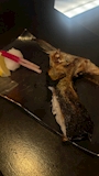 chiko