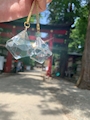 Kiraku