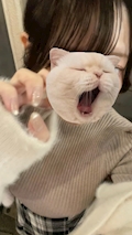 女の子の名前