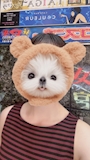chiko