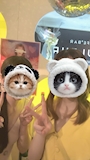 chiko
