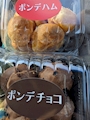 新着ブログ くいいじがはっている
