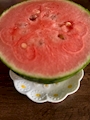 新着ブログ スイカ🍉