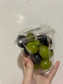 新着ブログ きのう🥳