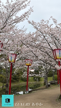 あやか ＊ 佐賀 LUXURY