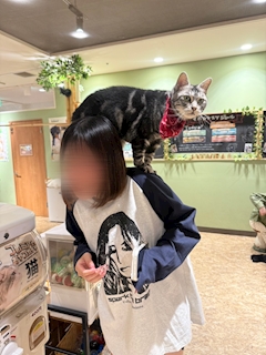 もえ