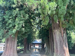 まどか