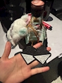 chiko