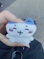 chiko