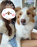 女の子の名前
