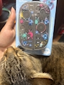 chiko