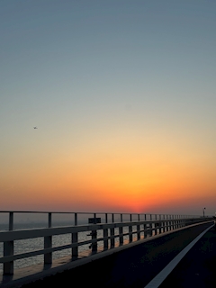 プロフィール写真4・ちゃむ🍵✨【新橋JJ自由時間】｜JJ-自由時間-・ジェイジェイ - 新橋のガールズバー