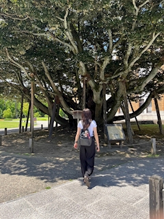 プロフィール写真3・ちゃむ🍵✨【新橋JJ自由時間】｜JJ-自由時間-・ジェイジェイ - 新橋のガールズバー