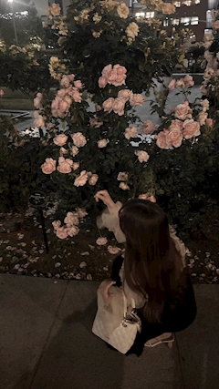 ハルナ