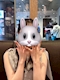 プロフィール写真2・ウサ|蘭・ラン - 西荻窪駅前のガールズバー