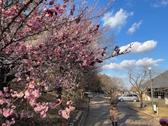 プロフィール写真1・レイカ｜CLUB 蘭・ラン - 北朝霞/朝霞台のキャバクラ