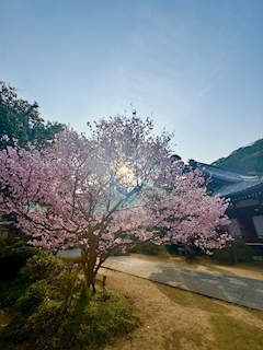 あゆ◆BAR FAIRY◆