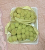新着ブログ シャイン ~~ !