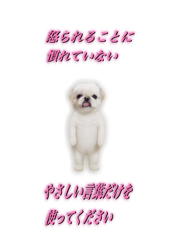 プロフィール写真4・ゆめ｜