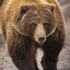 るな🌙* :ﾟ🐈‍⬛