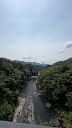 レミ