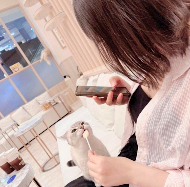 プロフィール写真1・🎀ぽこ🎀【荻窪ヴェルファーレ】｜