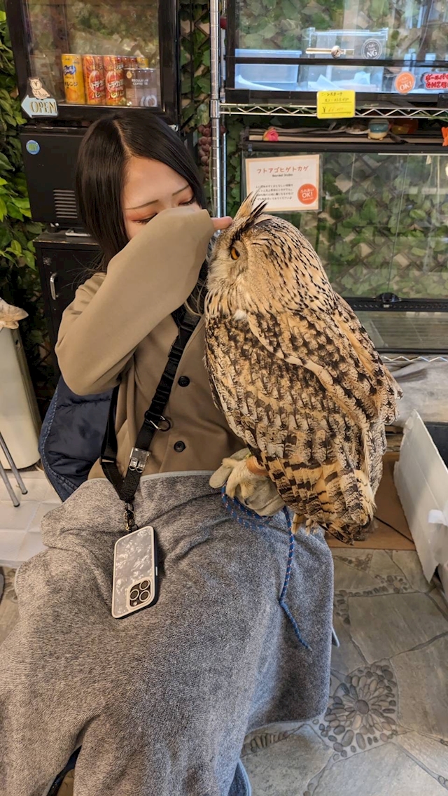 もえか