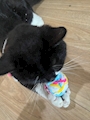 chiko