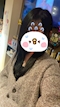 プロフィール写真7・れん|Girls Bar elf・エルフ - 東中野のガールズバー