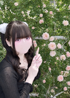 プロフィール写真1・れい|girl's & bar MISTY・ミスティ - 大井町のガールズバー
