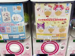 新着ブログ 月曜日🐰