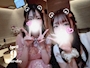 chiko