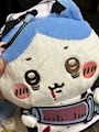 chiko