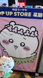 chiko
