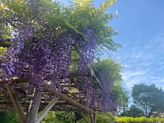 みき「本日出勤です！」