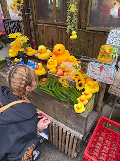 ひな