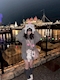 プロフィール写真7・かな｜Cafe and Bar Trace・トレイス - 渋谷のガールズバー