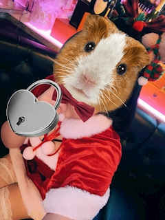 プロフィール写真1・きょうこ｜美熟女フェスティバル - 千日前のスナック