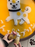 女の子の名前