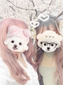 chiko