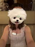 かんな
