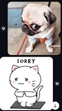 chiko