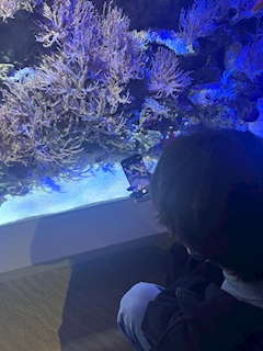 プロフィール写真1・ムッシュ👀主任｜
