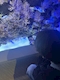 プロフィール写真1・ムッシュ👀主任｜
