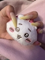 chiko