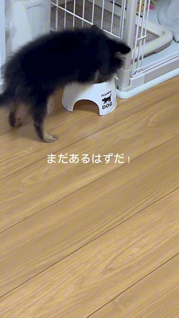 💜ささきさき💜